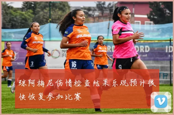 琼阿梅尼伤情检查结果乐观预计很快恢复参加比赛