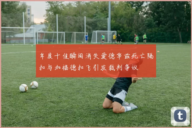 年度十佳瞬间消失爱德华兹死亡隔扣与加福德扣飞引发裁判争议