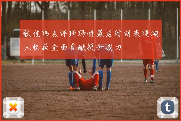 张佳玮点评斯玛特最后时刻表现湖人收获全面贡献提升战力